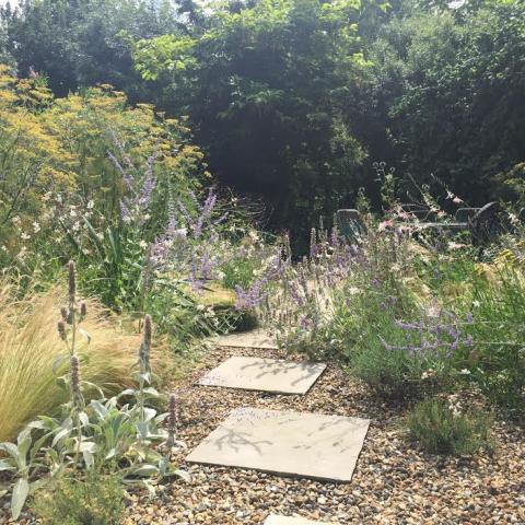 Stepping stones leading to the dining area