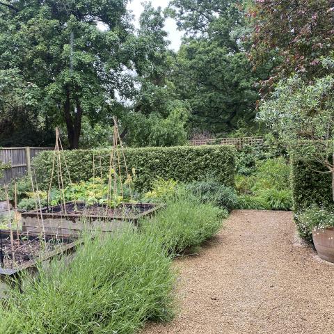 Kitchen Garden, path leads out to Play Area & Fire Pit Seating Area