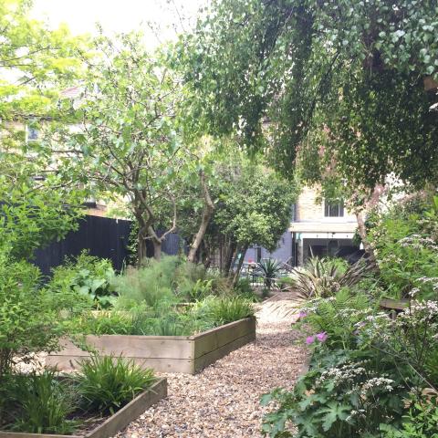 Timber borders in the gravel garden in spring