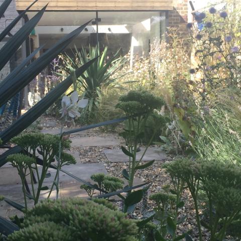View of the gravel garden