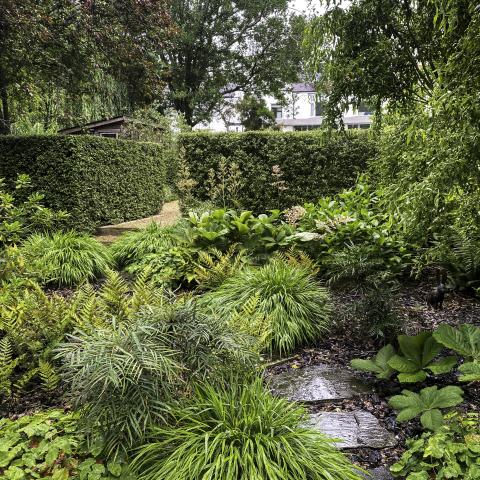 Path leading to the Kitchen Garden