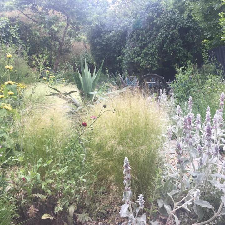 Gardening Tuition